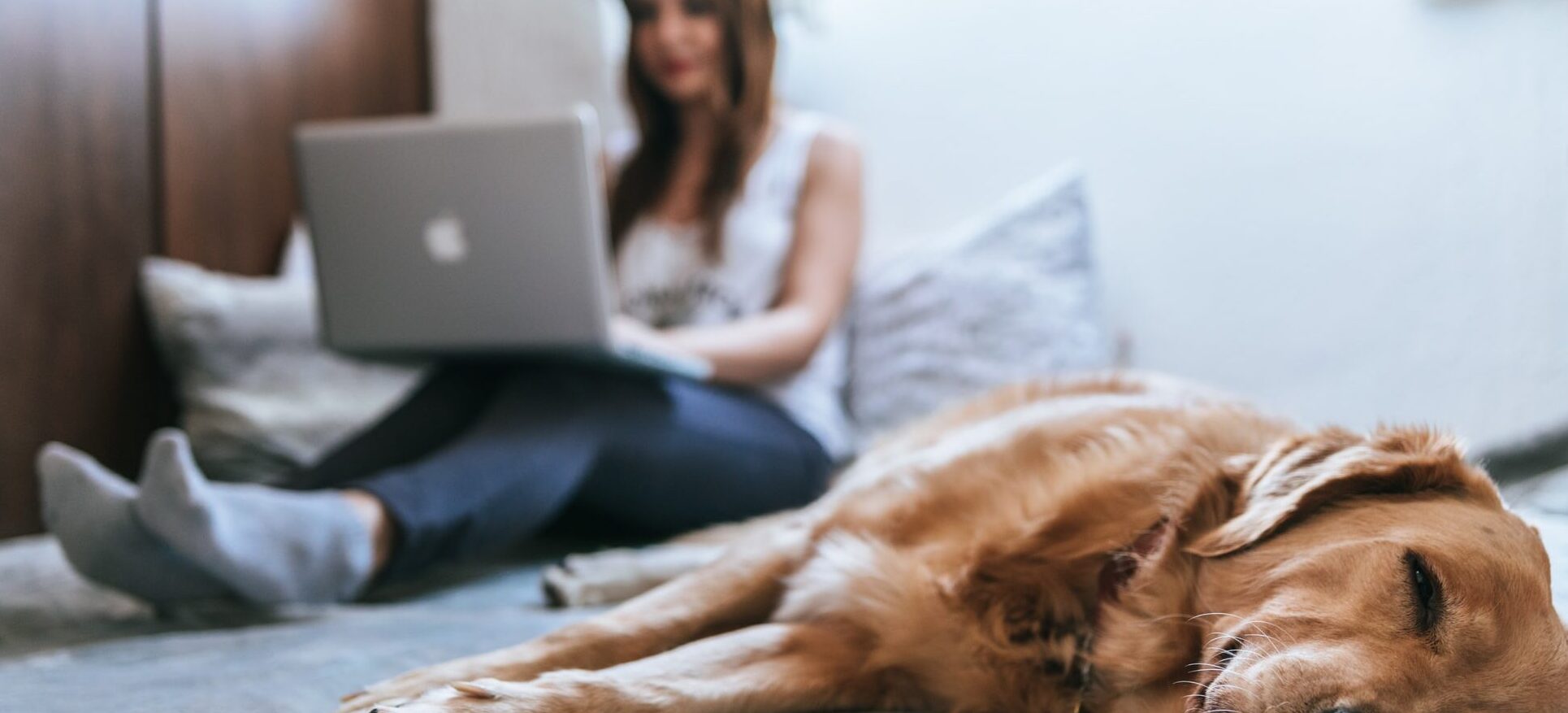 automate your home with a smart home